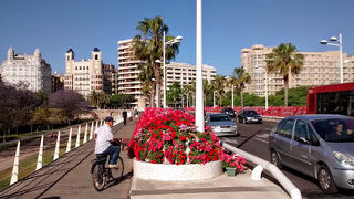 火祭りのメイン会場になるそうで、広かったです。