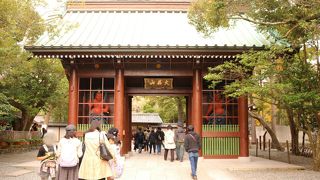 本名  大異山高徳院