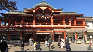 鮮やかな色合い