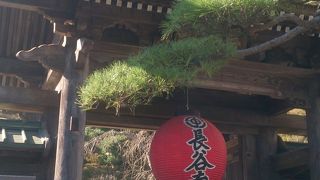 綺麗になり、さらに進化中の長谷観音