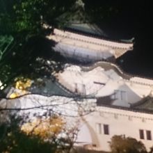 和歌山城ライトアップ