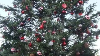 クリスマスツリーが素敵！