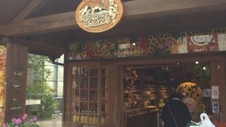 ログハウス風の外観が可愛いはちみつ屋さん。