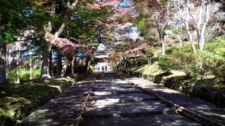 紅葉の毘沙門堂