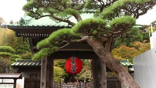 立派になられて・・・