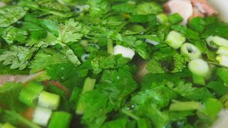 ワードエリアの人気店！オックステールスープがオススメ！