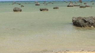 岩がゴロゴロしている海岸でした