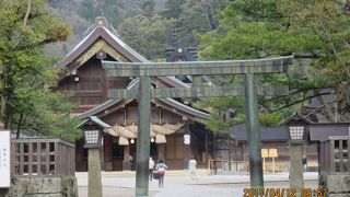 桜がきれいでした。