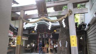 虎が可愛いです