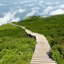 大山山頂付近からの景観