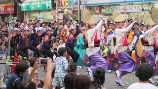 関東三大阿波踊りの一つ「神奈川大和阿波踊り」