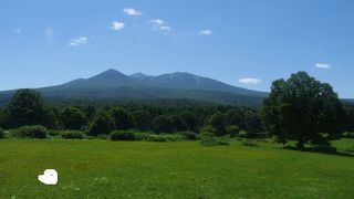 八甲田山に広大な草原