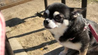 広くはないけどのんびりできる