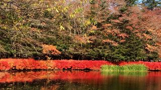 軽井沢の紅葉スポット