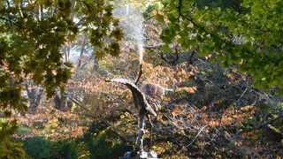 鶴の羽ばたく姿