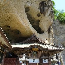 岩と一体化しているように見えます