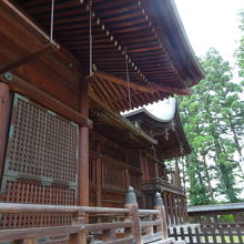 横から撮ってみました