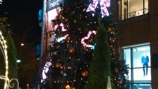 2017年　クロスゲート前のクリマスマスツリー