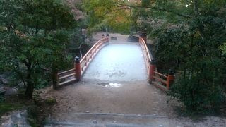 見頃には少し早かった