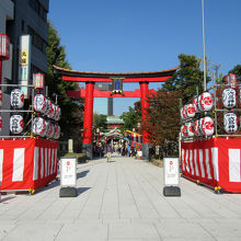 酉の市、七五三当日でした