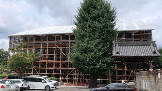 改修工事で本堂参拝できません