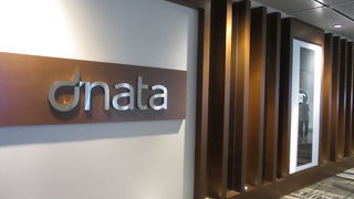 シンガポール チャンギ国際空港のターミナル３のセキュリティチェック後の出発・乗継ホールの上階にあるラウンジです。