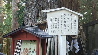 願いがかなうかも・・・