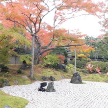 枯山水の庭園と紅葉