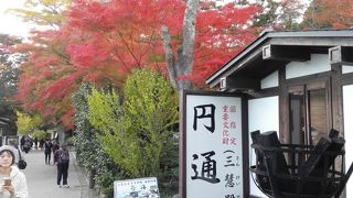 紅葉の名所円通院