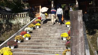 修善寺のシンボル修禅寺！手水に温泉が使われていました！