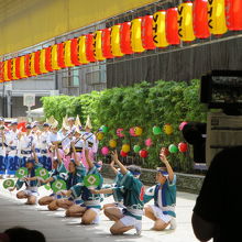 NHK徳島放送主催「真昼の阿波踊り」