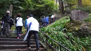 展望台からの紅葉がグッド