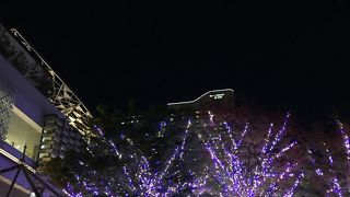 今年もブルーとシルバーのイルミネーション