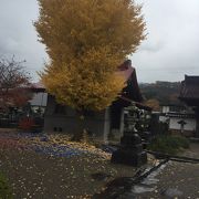 織田家ゆかりの寺