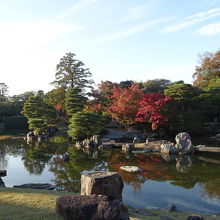 素晴らしい庭園です