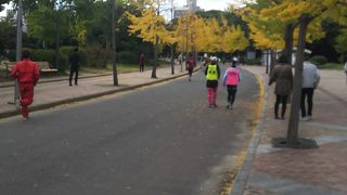 気持ちよく散歩できました。