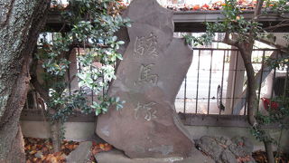 白馬も保存されています