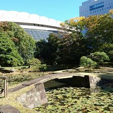 和風庭園と東京ドーム