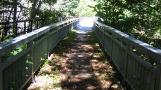 歩いてみました。