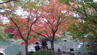 何度見ても素晴らしい東寺の五重塔