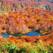 野鳥の宝庫で紅葉の名所．ハイシーズンにはカメラマン多数．