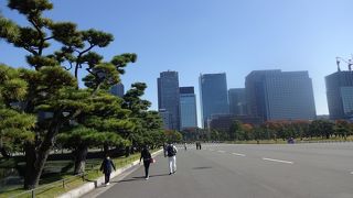 次の日にはイバンカさんが…