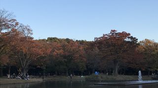 賑わっていました／代々木公園