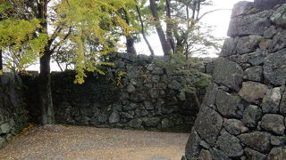 支配の象徴的な城ではなく、戦国末期の実戦的な構造が魅力の城です。