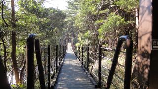 独占できる吊り橋