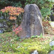 １日100人限定の庭園