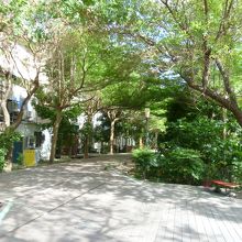 かつての線路はカバーされウッドデッキに・・・