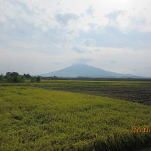 陸奥鶴田の畑から岩木山を臨む。