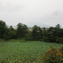 弘前公園から雨の霞む岩木山。