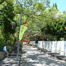 旧台東神社の参道を登ります